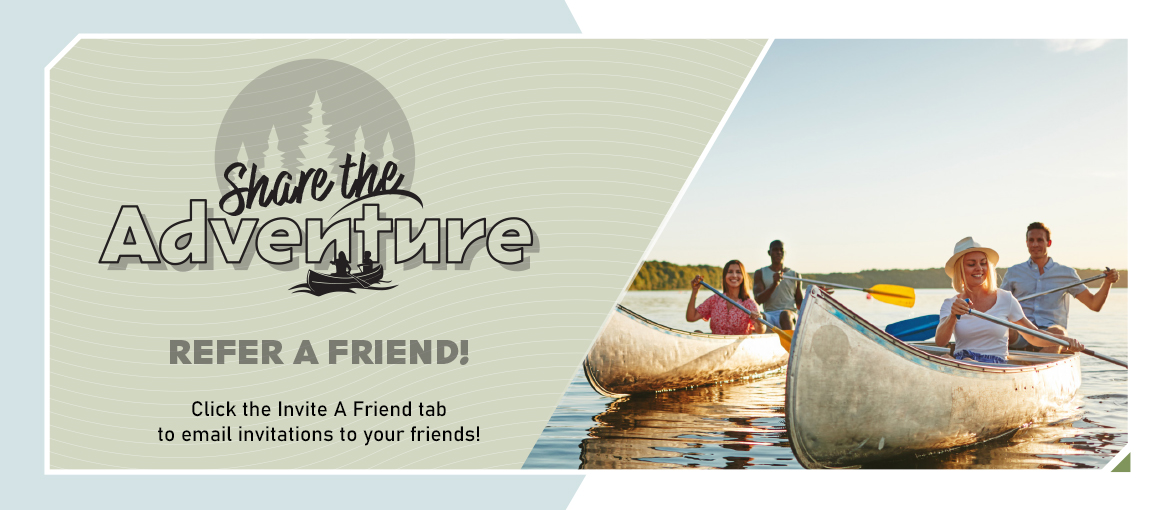 ICS Campaign ICS Campaign